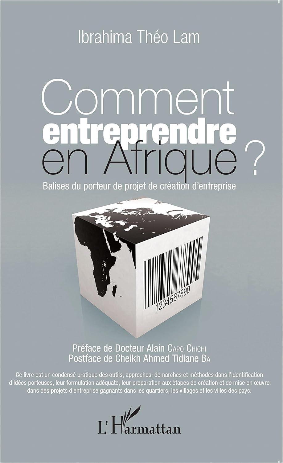 Comment entreprendre en Afrique ? – Ibrahima Théo Lam