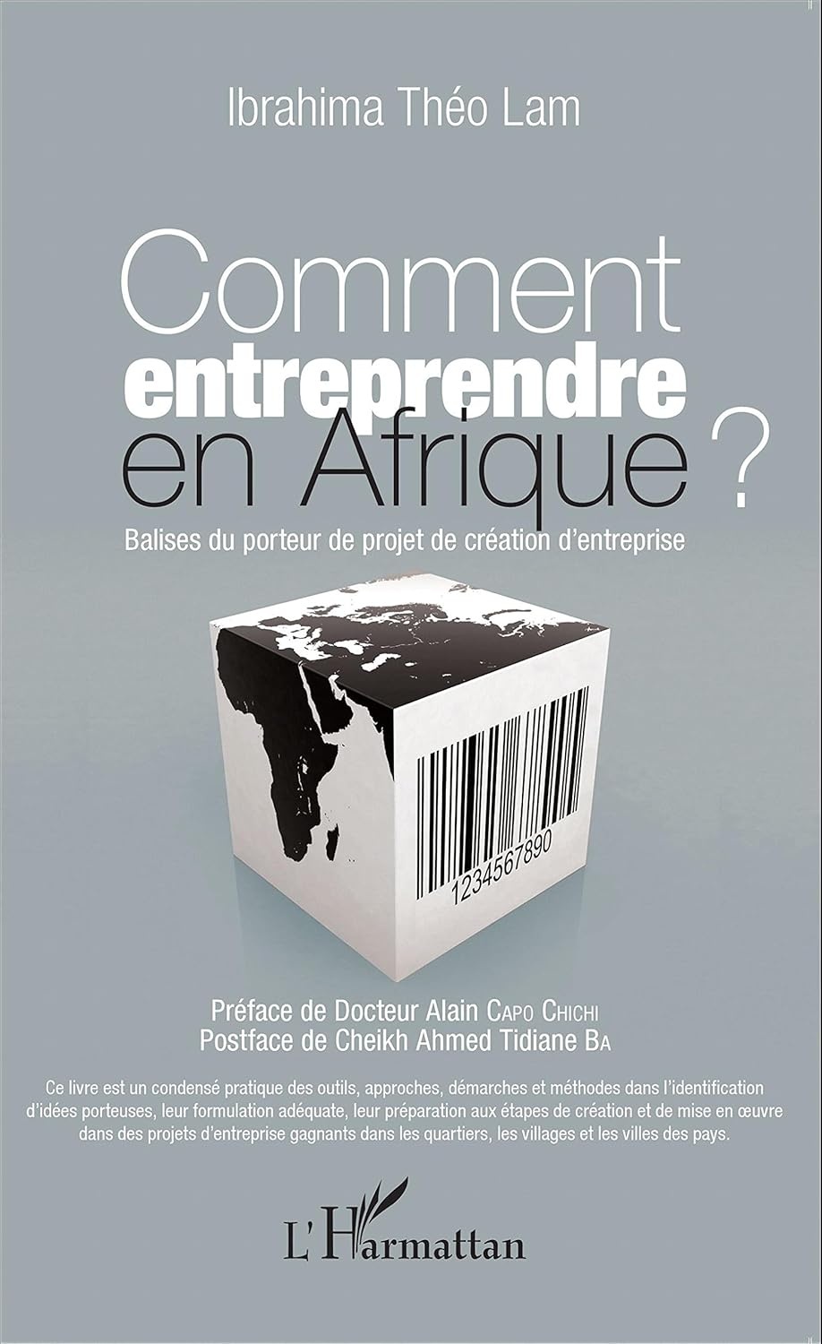 Comment entreprendre en Afrique ? – Ibrahima Théo Lam